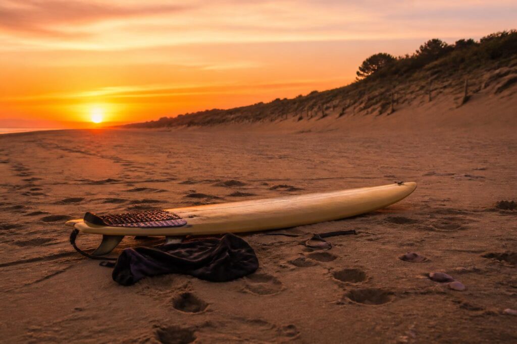 découvrez les temps forts des meilleures vagues surfées lors du tube de la semaine du 8 septembre. revivez les moments spectaculaires et les performances impressionnantes des surfeurs.