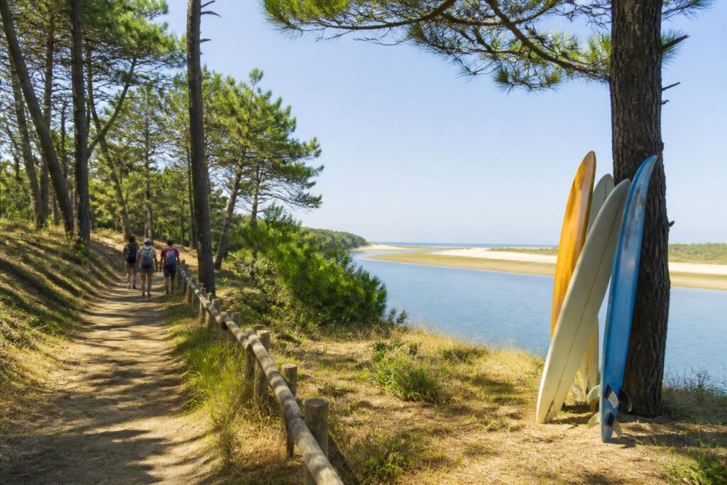 découvrez le top 10 des randonnées incontournables dans les landes (40) à ne pas manquer en 2026 pour profiter des paysages naturels et de la beauté du sud-ouest.
