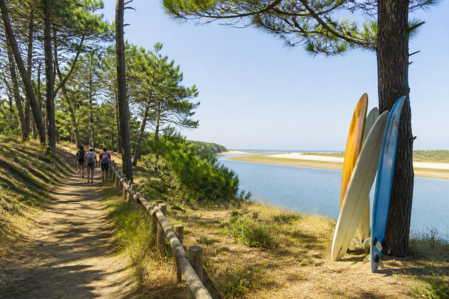 découvrez le top 10 des randonnées incontournables dans les landes (40) à ne pas manquer en 2026 pour profiter des paysages naturels et de la beauté du sud-ouest.